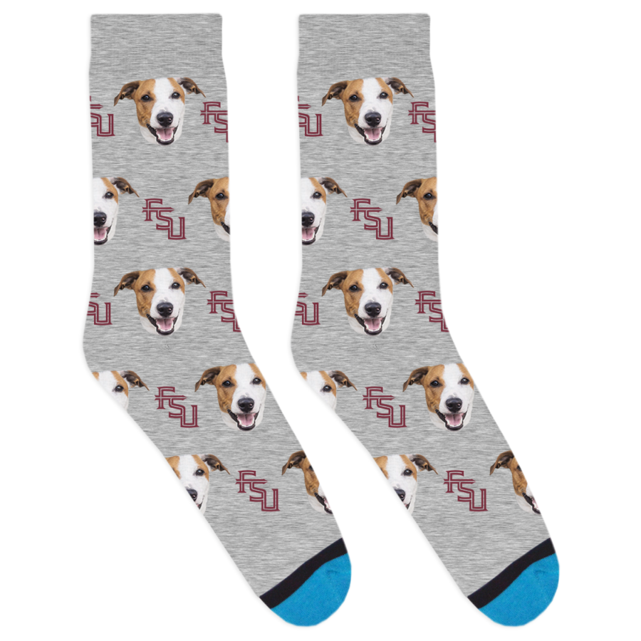 Custom Future Nole Socks DivvyUp