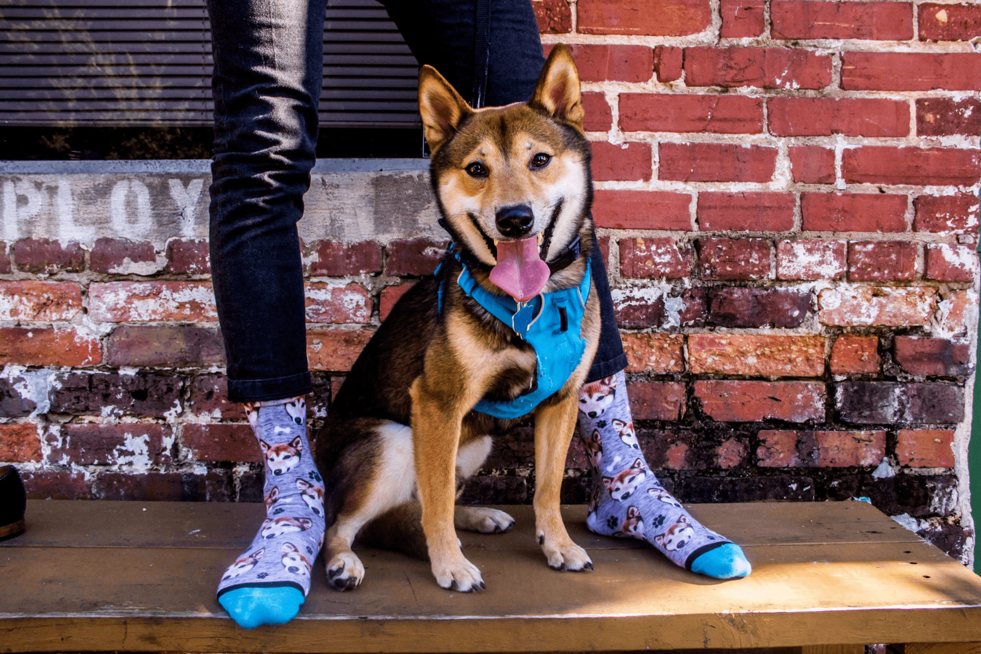 divvy up socks coupon code divvy up socks coupon code